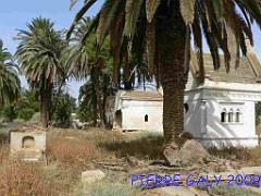 RELIZANE CIMETIERE (22) 2009